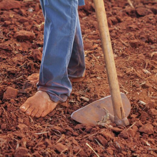 person plowing soil