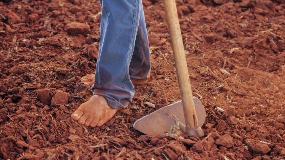 person plowing soil