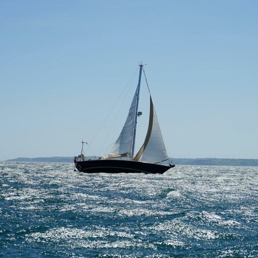 white and black sail boat on ocean